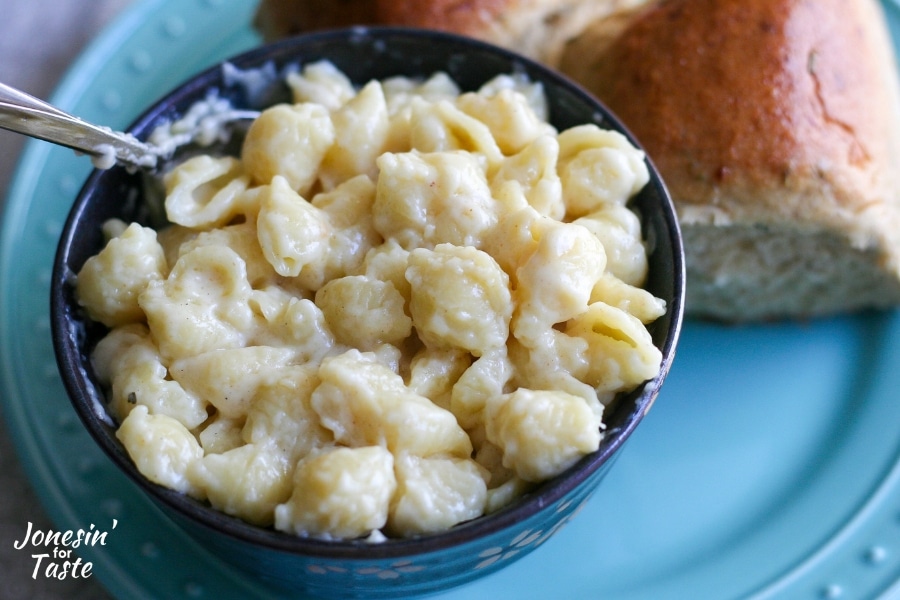 A bowl of shell pasta covered in white cheddar sauce