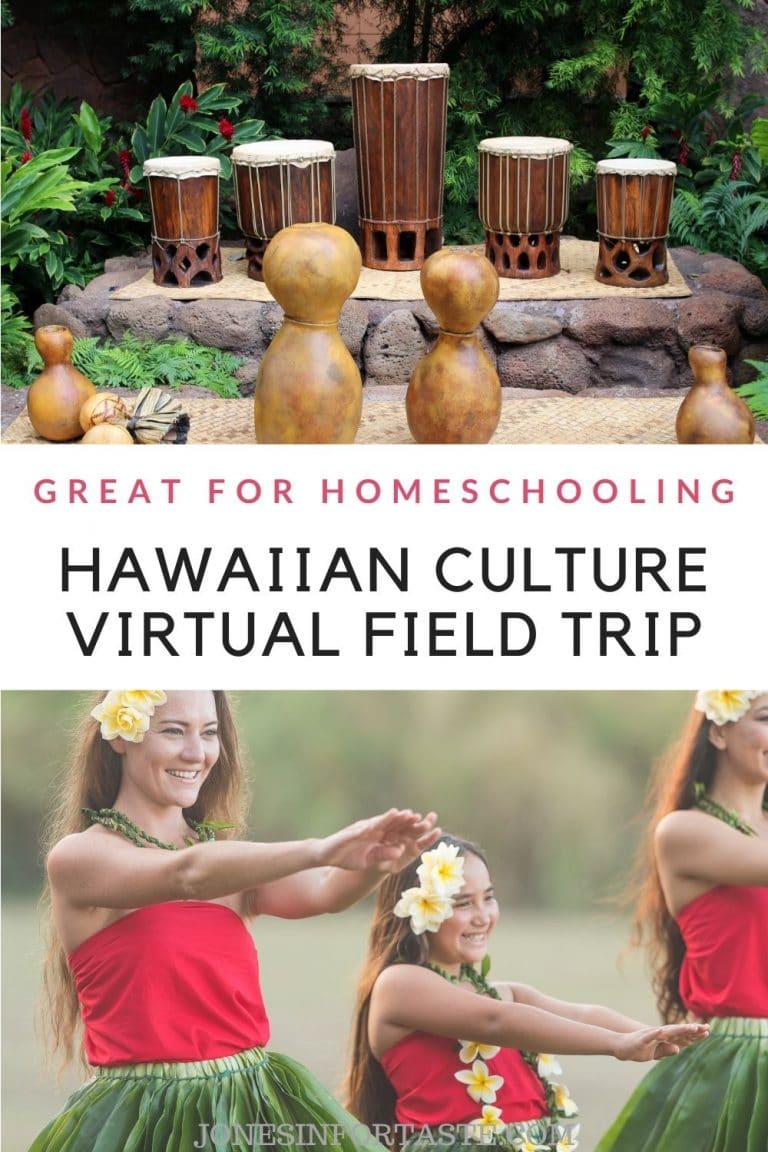 virtual field trip of hawaii