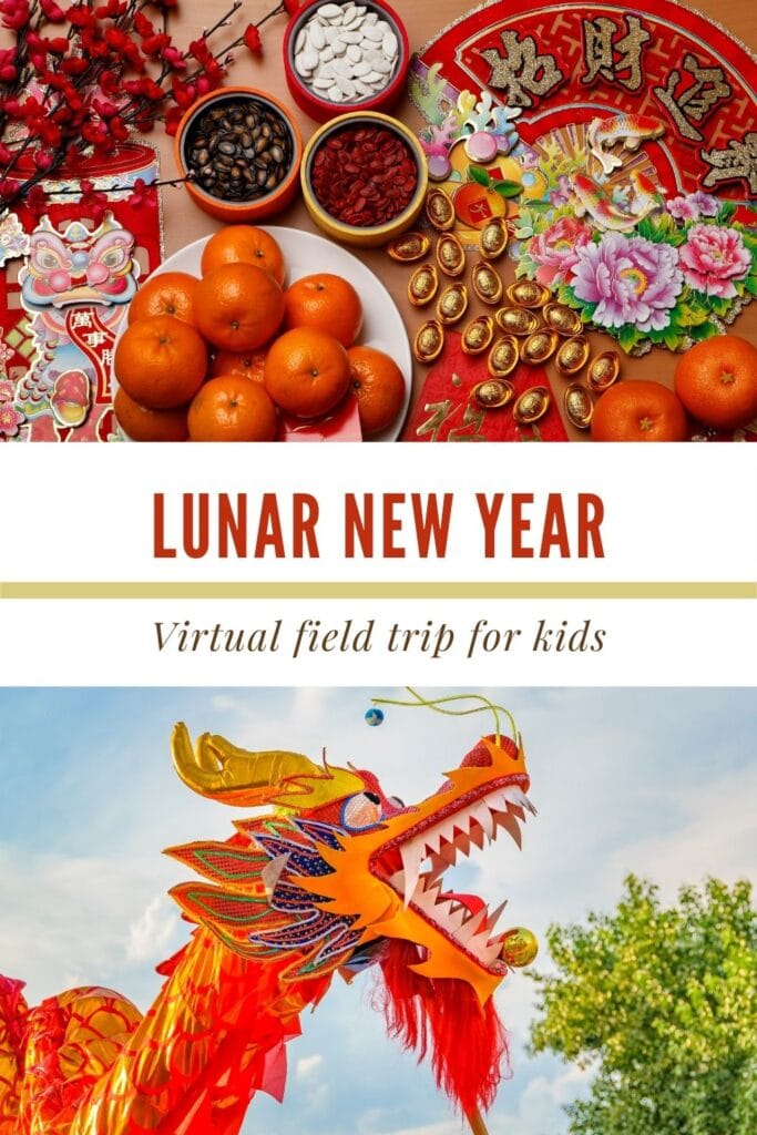 lunar new year pin collage