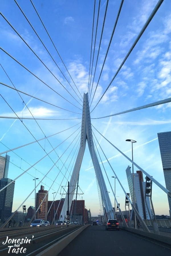 a view of the Erasmus bridge looking up towards the sky
