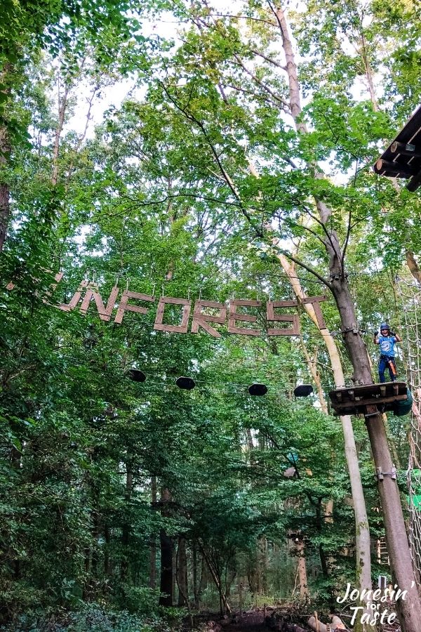 a boy stands on a platform in the trees next to giant hanging letters that spell FunForest